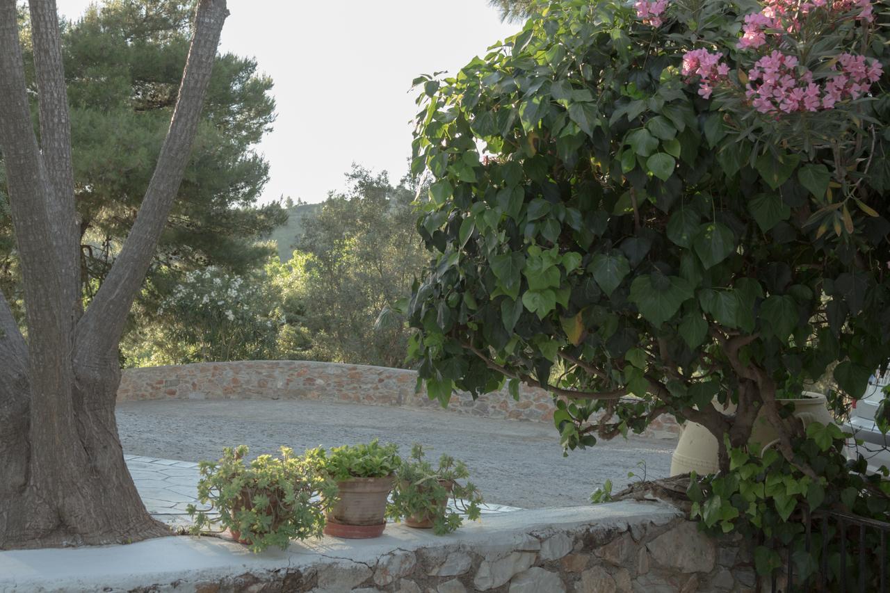 Villa Elpiniki 特劳洛斯 外观 照片
